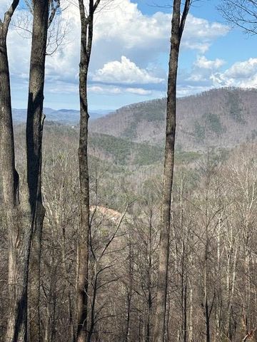 217 Walnut Ridge, Ellijay, GA 30540