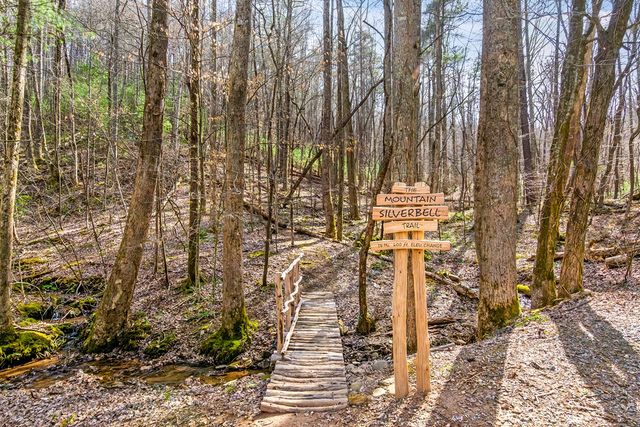 217 Walnut Ridge, Ellijay, GA 30540