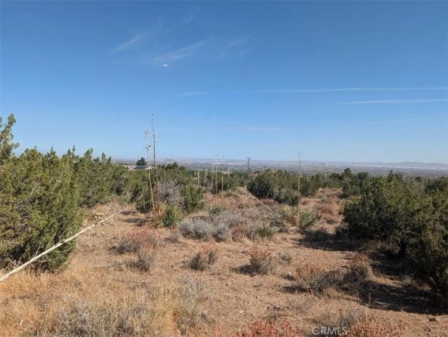 12 Tamarack, Pinon Hills, CA 92372