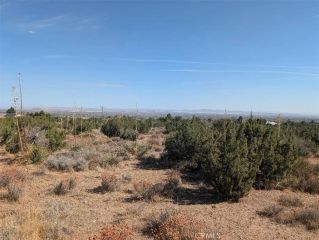 12 Tamarack, Pinon Hills, CA 92372