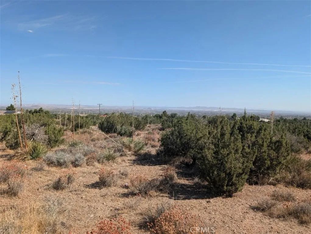 12 Tamarack, Pinon Hills, CA 92372