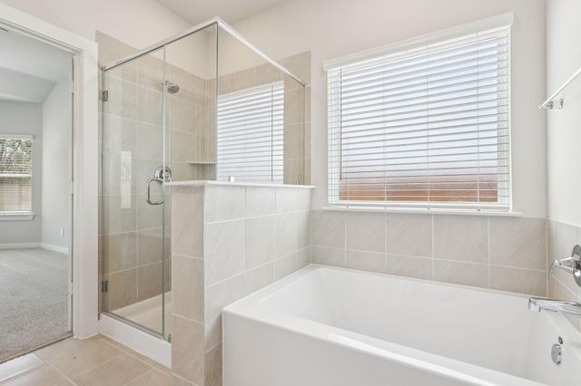 17732 Mill Manor Drive, Montgomery, TX 77316