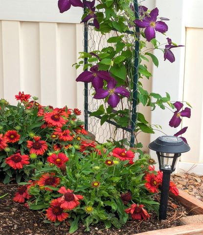 662 Darcy Jo Lane, Fruita, CO 81521