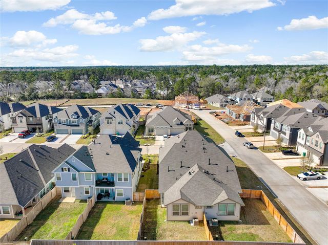 607 Silver Pear Ct, Montgomery, TX 77316