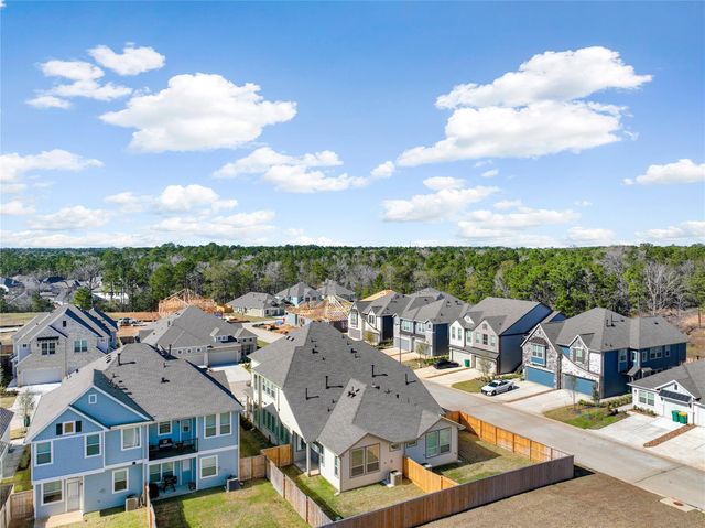 607 Silver Pear Ct, Montgomery, TX 77316