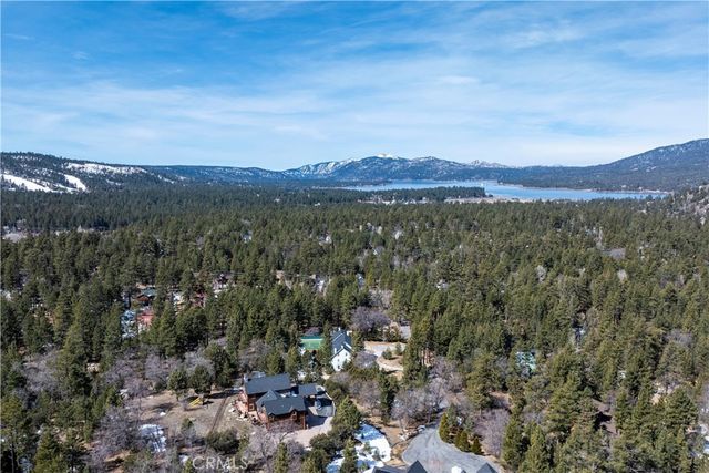 858 Fox Tower Way, Big Bear Lake, CA 92314