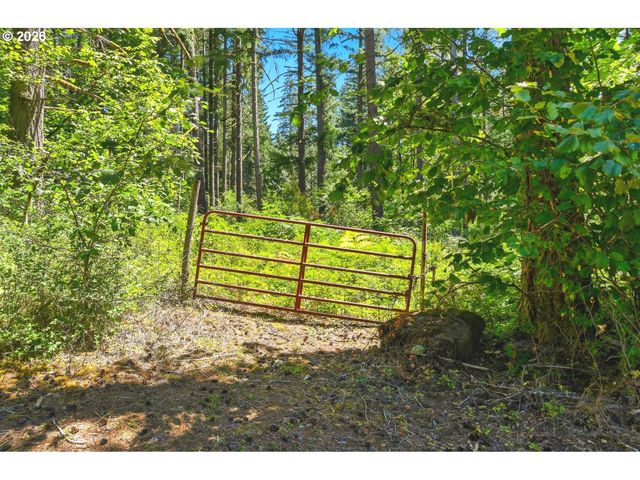 24205 Ne 232ND Ave, Battle Ground, WA 98604