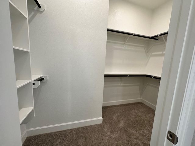 17309 Cain Clearing PASS, Austin, TX 78738