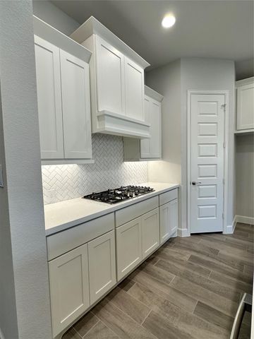 17309 Cain Clearing PASS, Austin, TX 78738