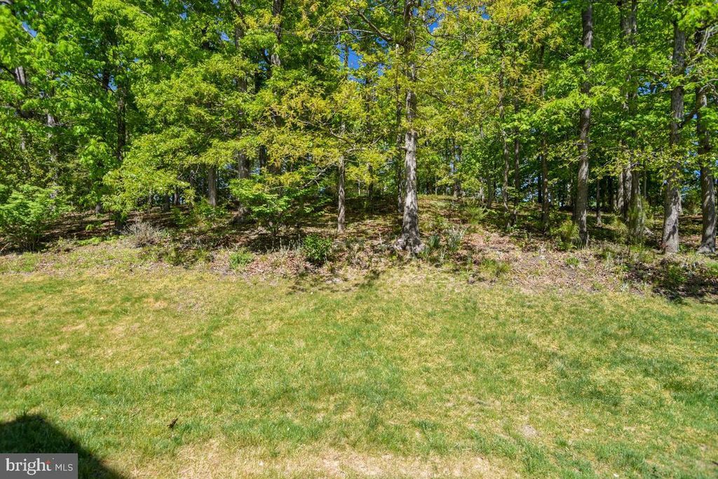 Image 13 of property listing at 14550 DUSTY MILLER CT, Hughesville, MD 20637