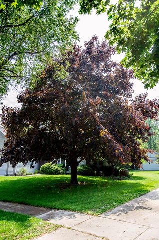 425 Glen View COURT S, Slinger, WI 53086