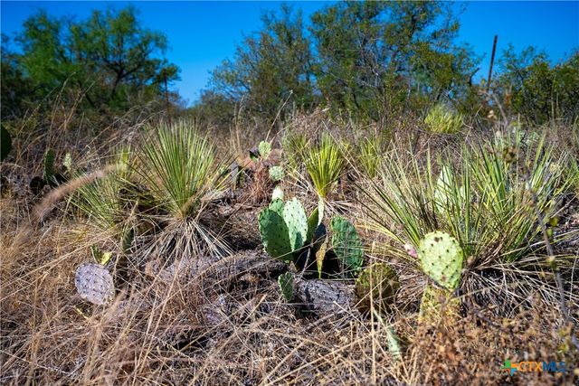 TBD W Ranch Road 152, Llano, TX 78643