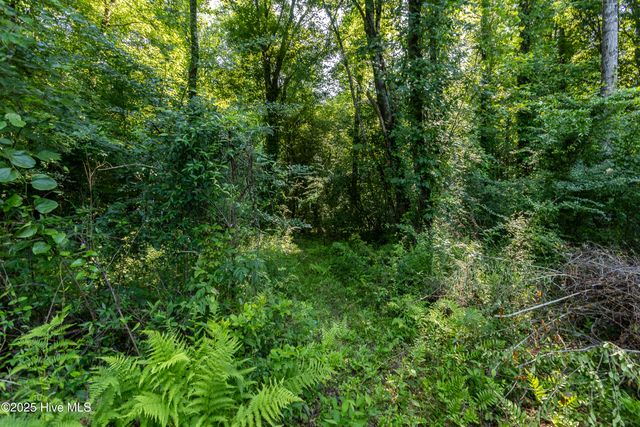 512 SW Southwest Ridge Drive, Richlands, NC 28574