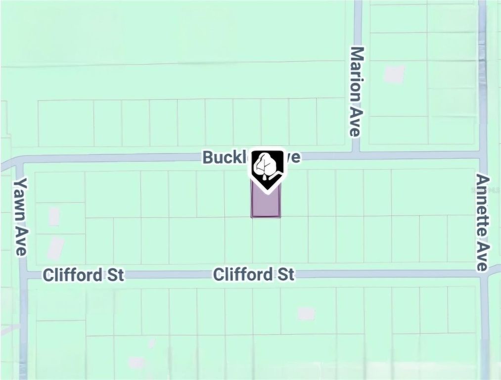 LOT 8 BUCKLES AVENUE, Interlachen, FL 32148