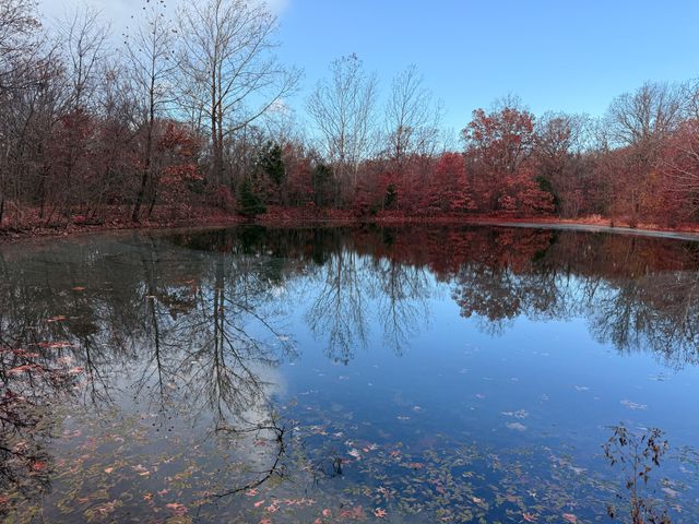 16996 E 524 Road, Stockton, MO 65785