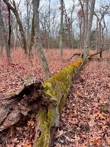 16996 E 524 Road, Stockton, MO 65785