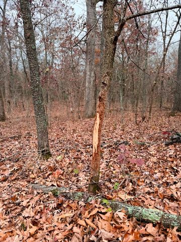 16996 E 524 Road, Stockton, MO 65785