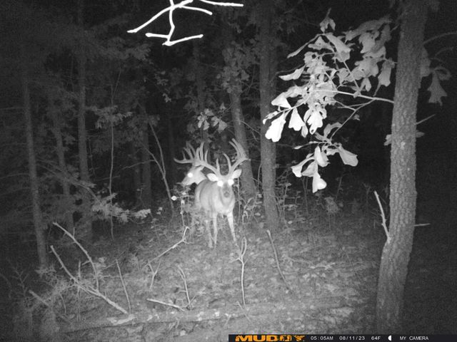 16996 E 524 Road, Stockton, MO 65785