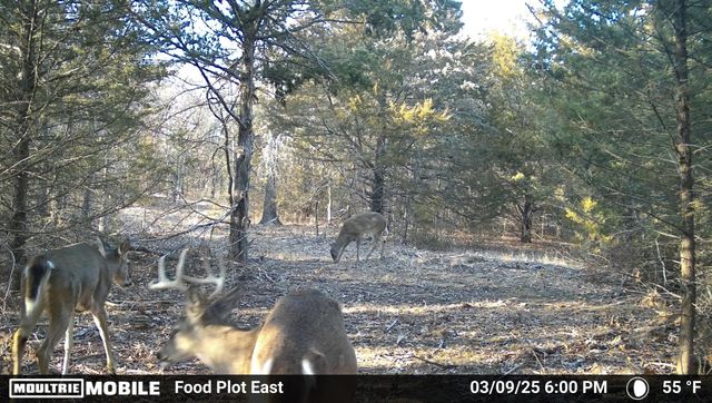 16996 E 524 Road, Stockton, MO 65785