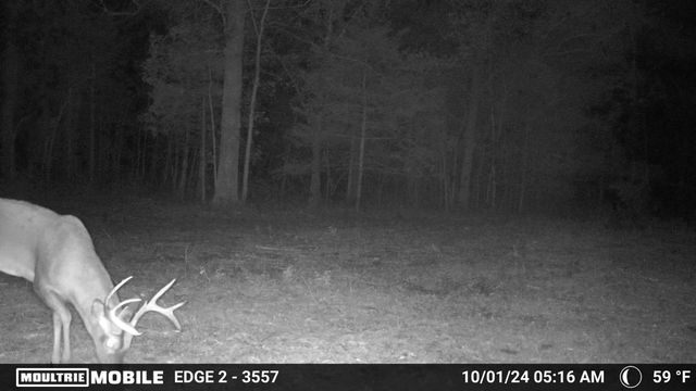 16996 E 524 Road, Stockton, MO 65785