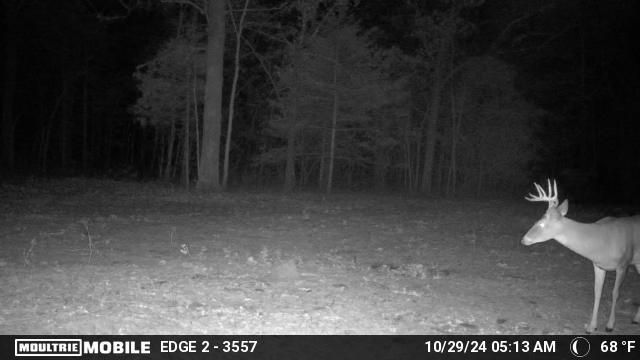 16996 E 524 Road, Stockton, MO 65785