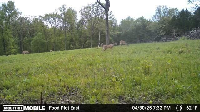 16996 E 524 Road, Stockton, MO 65785