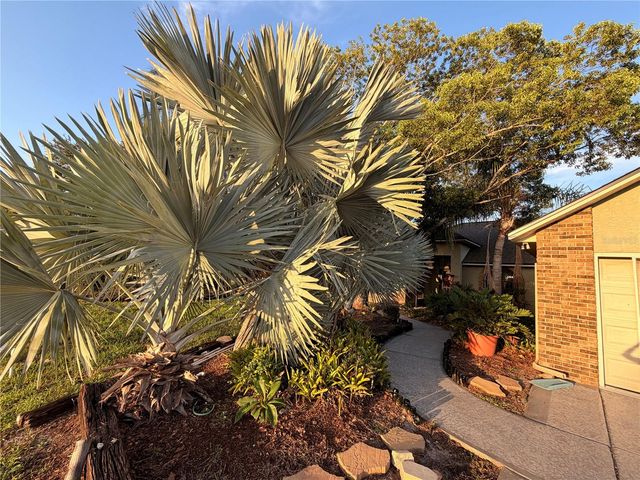 1015 CALLE ROSA PLACE, Sun City Center, FL 33573