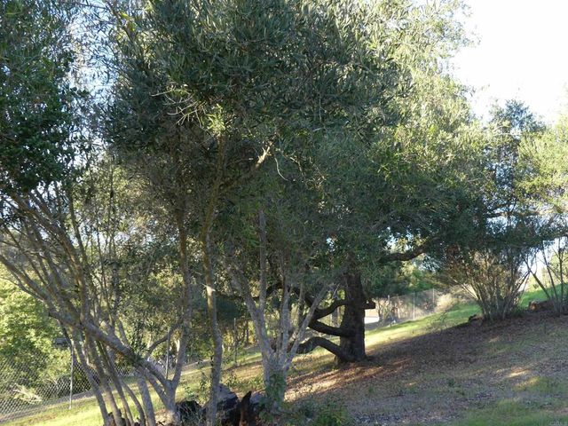 725 Yucca Road, Fallbrook, CA 92028