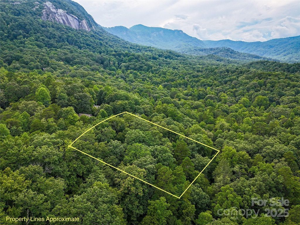 TBD Rumbling Bald Road 15, Lake Lure, NC 28746