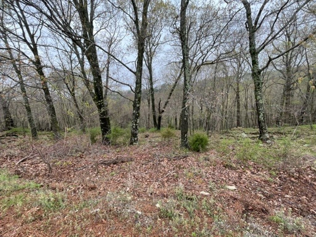 14 Serenity Lane, Holiday Island, AR 72631