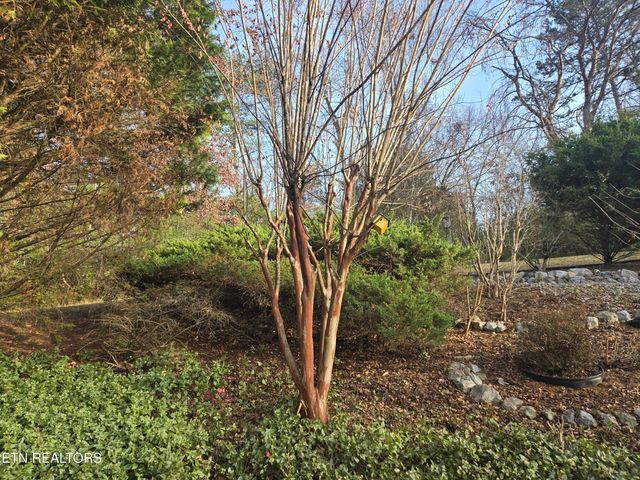 316 Bowers Park Circle, Knoxville, TN 37920