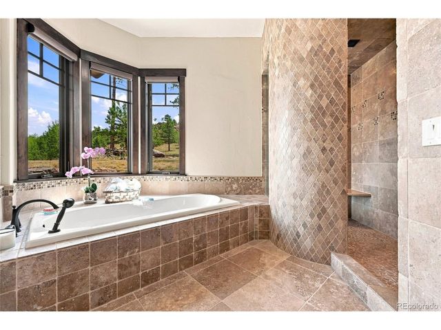 15100 Quandary Peak Trl, Pine, CO 80470