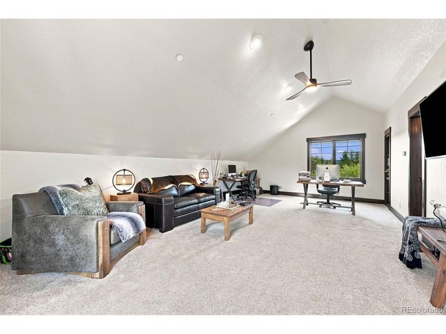 15100 Quandary Peak Trl, Pine, CO 80470