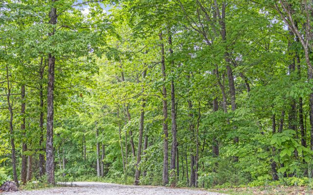 0 Cornerstone Parkway, Livingston, TN 38570