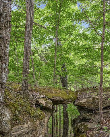 0 Cornerstone Parkway, Livingston, TN 38570