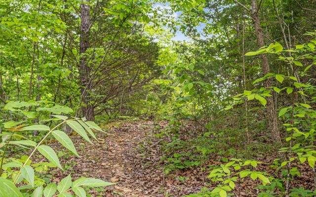 0 Cornerstone Parkway, Livingston, TN 38570