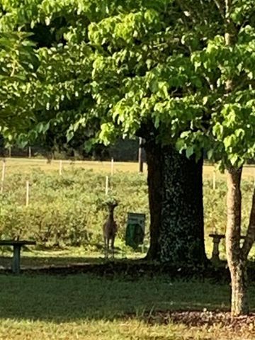 7650 NE 40TH STREET, High Springs, FL 32643