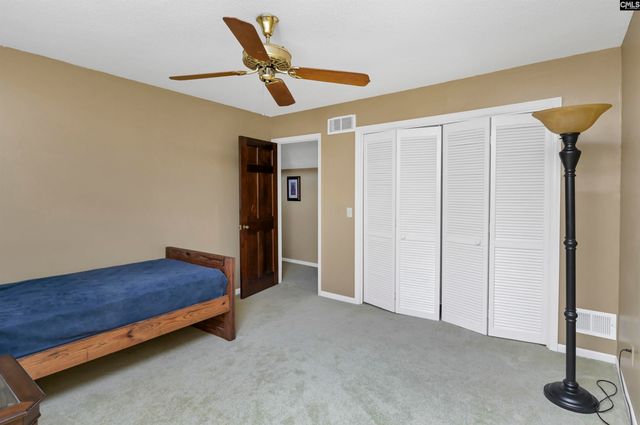 1100 Bookie Richardson Road, Chapin, SC 29036