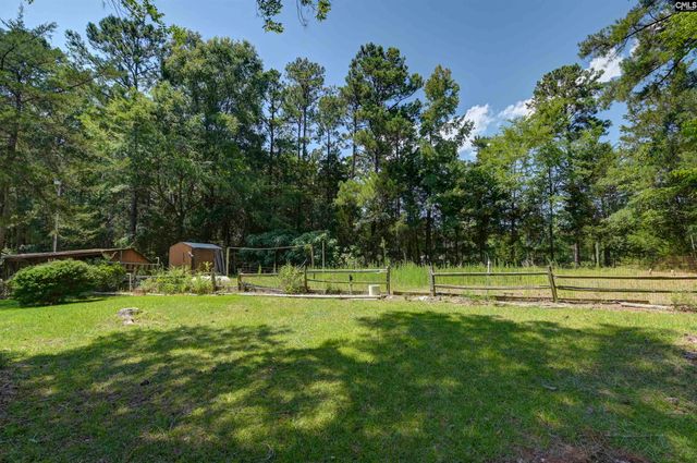 1100 Bookie Richardson Road, Chapin, SC 29036