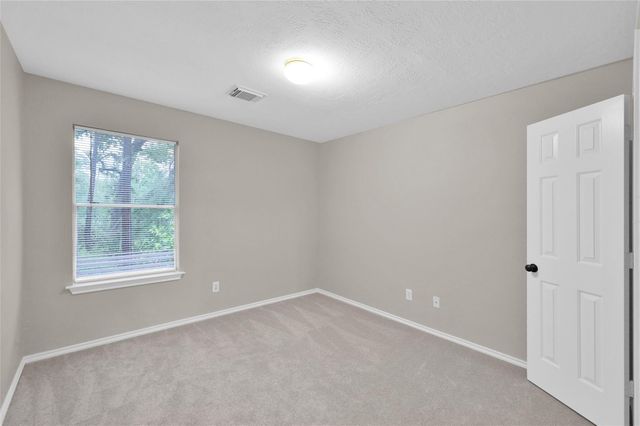 147 Anise Tree Place, The Woodlands, TX 77382