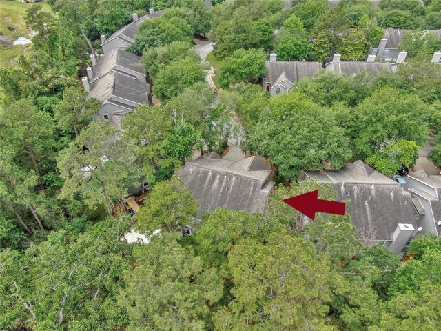 147 Anise Tree Place, The Woodlands, TX 77382