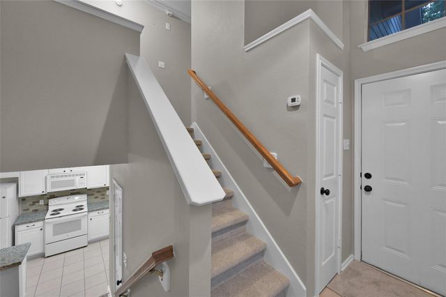 147 Anise Tree Place, The Woodlands, TX 77382