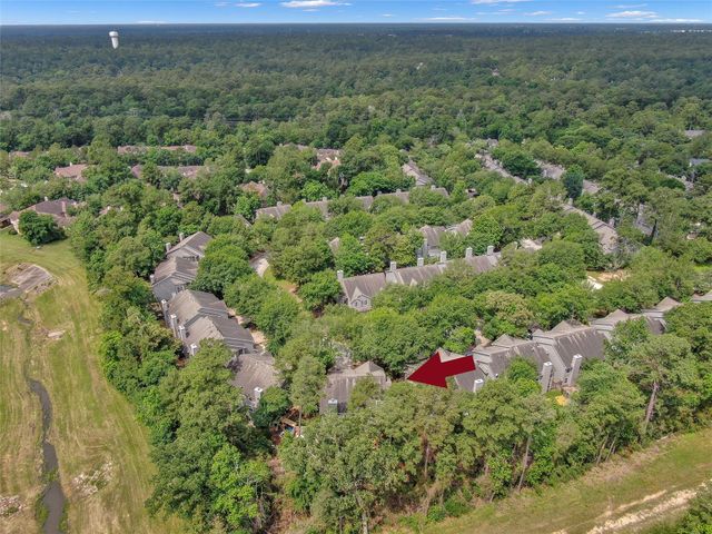 147 Anise Tree Place, The Woodlands, TX 77382