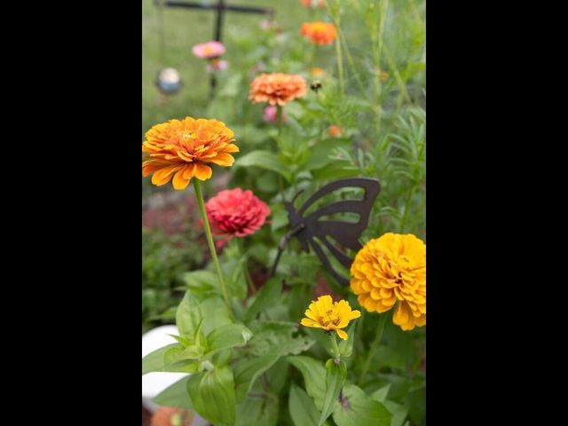 30751 Wallmark Lake Drive, Chisago City, MN 55013