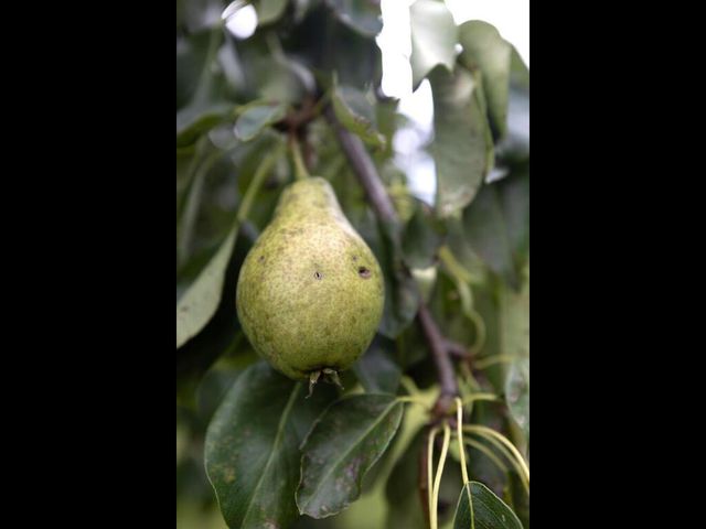 30751 Wallmark Lake Drive, Chisago City, MN 55013