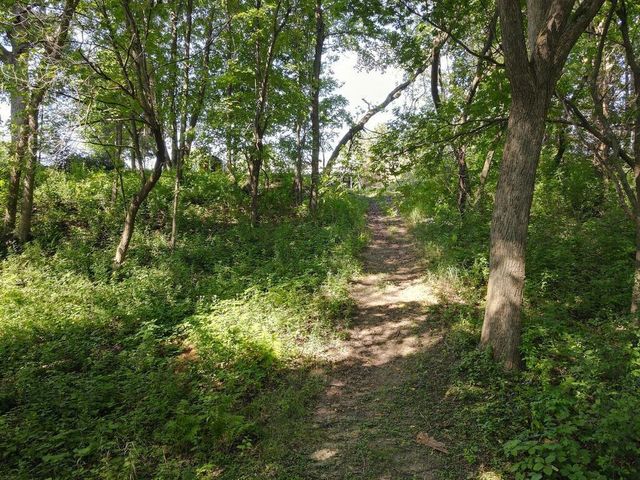 30751 Wallmark Lake Drive, Chisago City, MN 55013