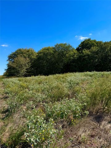 TBD County Road 208, Gainesville, TX 76240