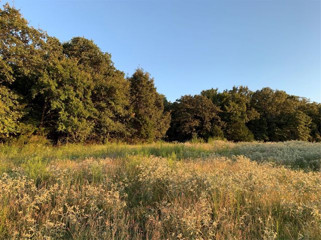 TBD County Road 208, Gainesville, TX 76240