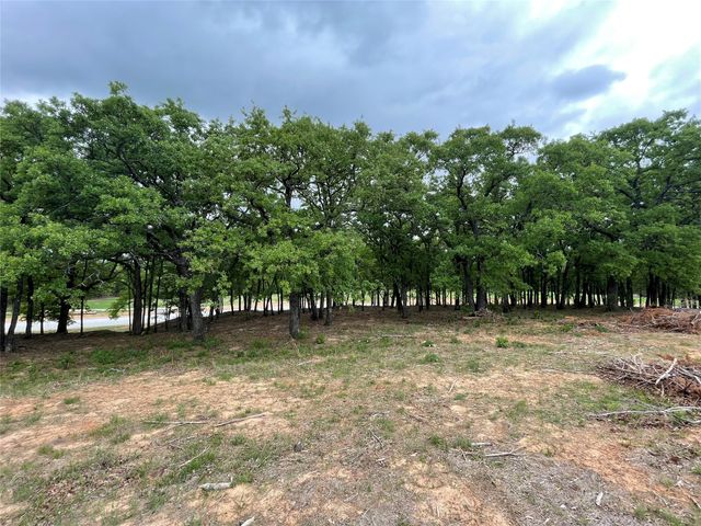 TBD County Road 208, Gainesville, TX 76240