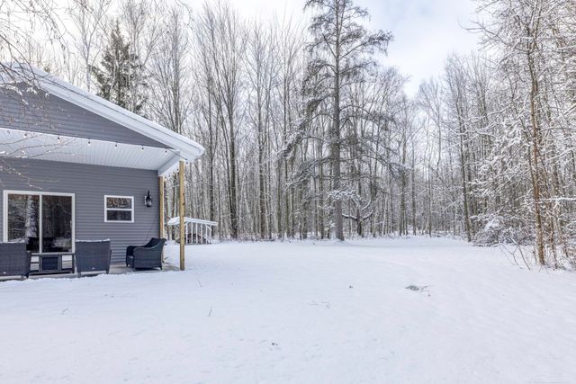 2675 N Ridge Road, Forester Twp, MI 48419